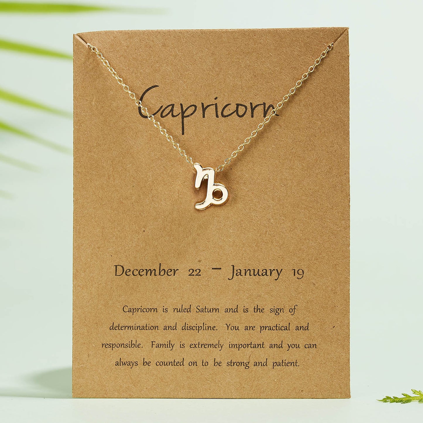 12 Constellation Necklace